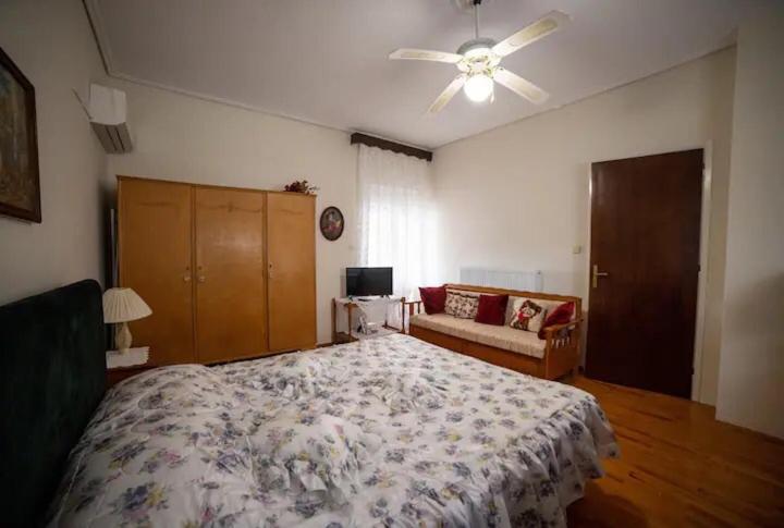 Loft House Trikala Leilighet Eksteriør bilde