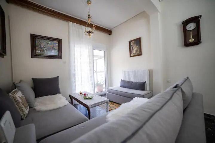 Loft House Trikala Leilighet Eksteriør bilde
